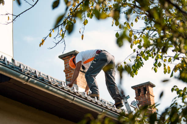 Best Roof Moss and Algae Removal  in Shadyside, OH
